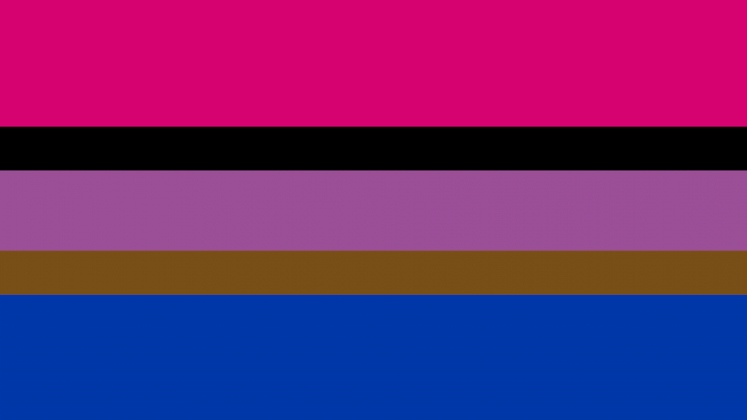 The Bi Flag | What Do the Colors of the Bisexual Flag Mean?