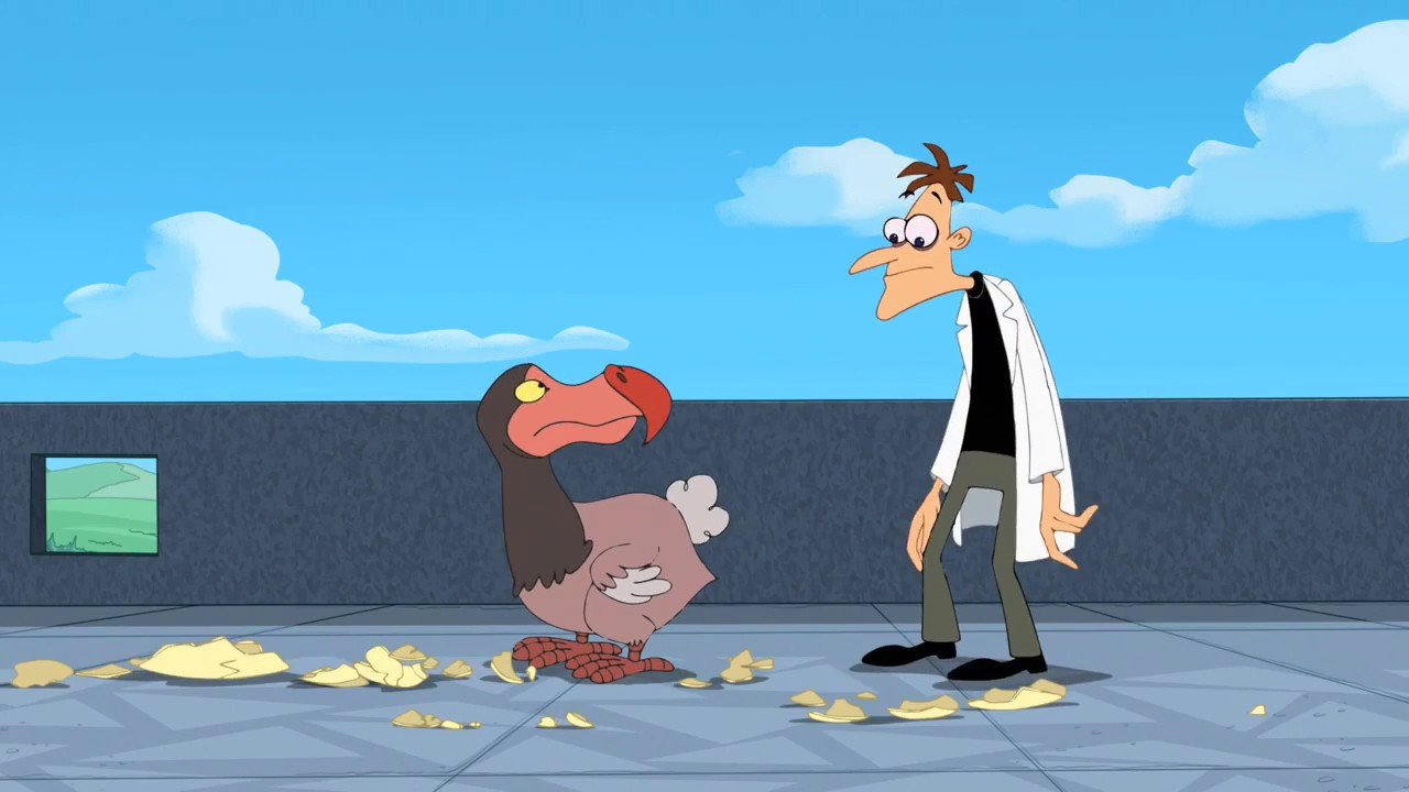dodo bird doofenshmirtz