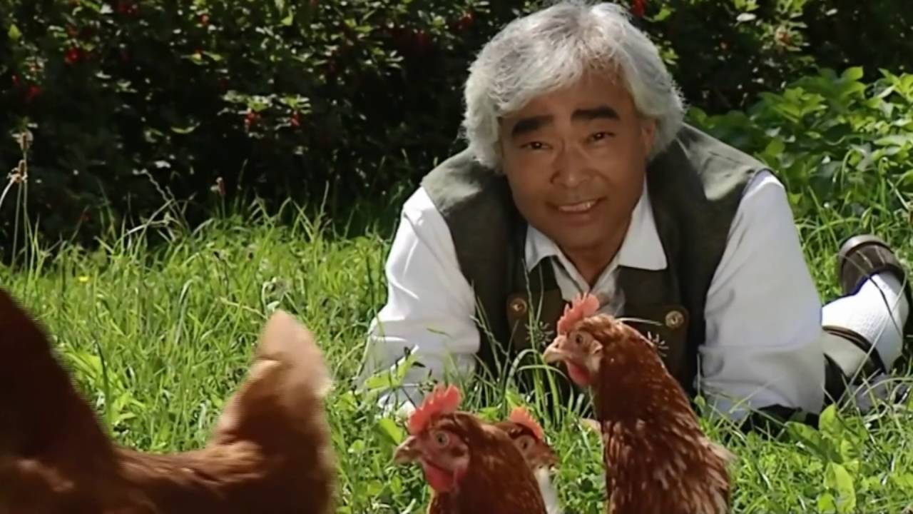 takeo ischi in field with chickens