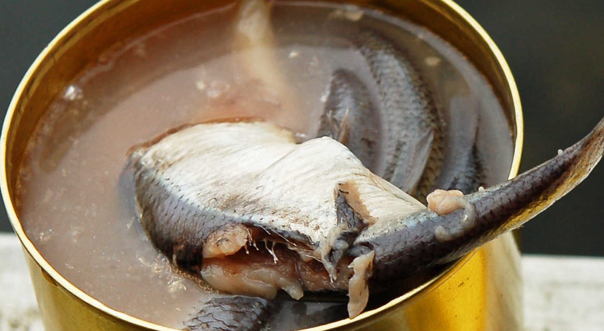 Savoring one of the stinkiest foods in the world: Sweden's surströmming