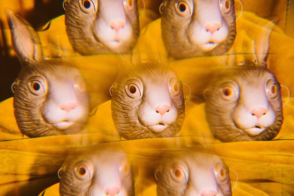 kaleidoscope view of plastic rabbit head