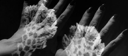 hands transforming into cat paws