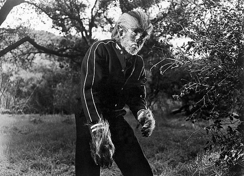 tony werewolf in woods