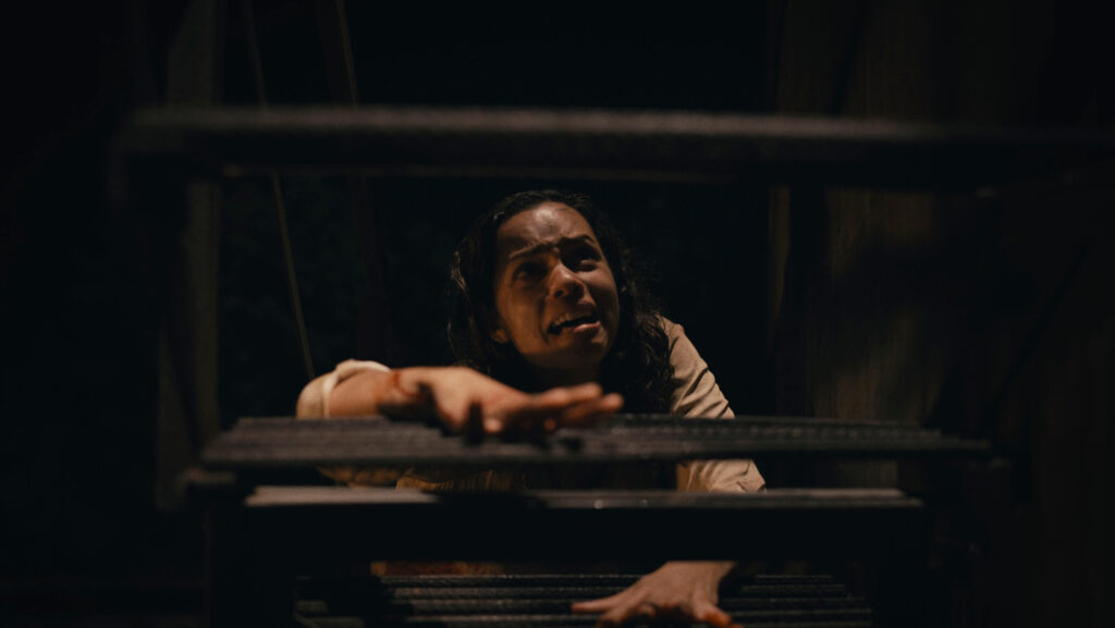 movie review barbarian