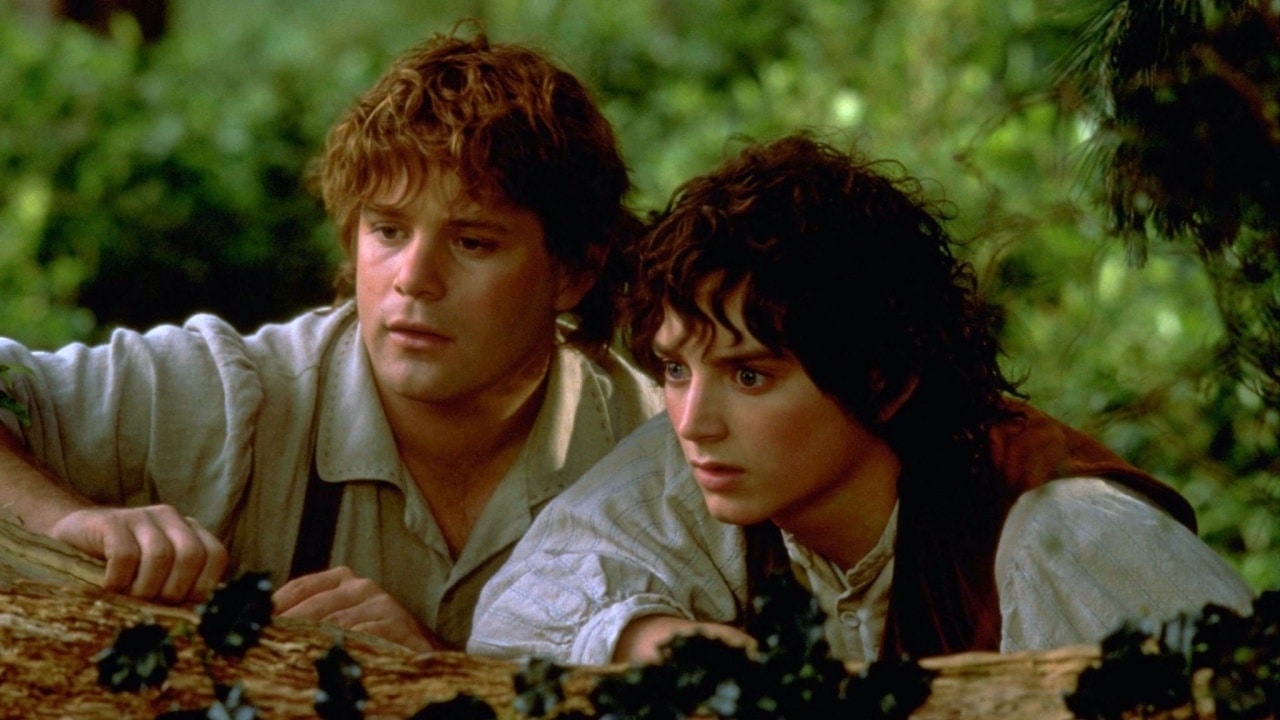 Sam and Frodo from the lord of the rings peering over a log