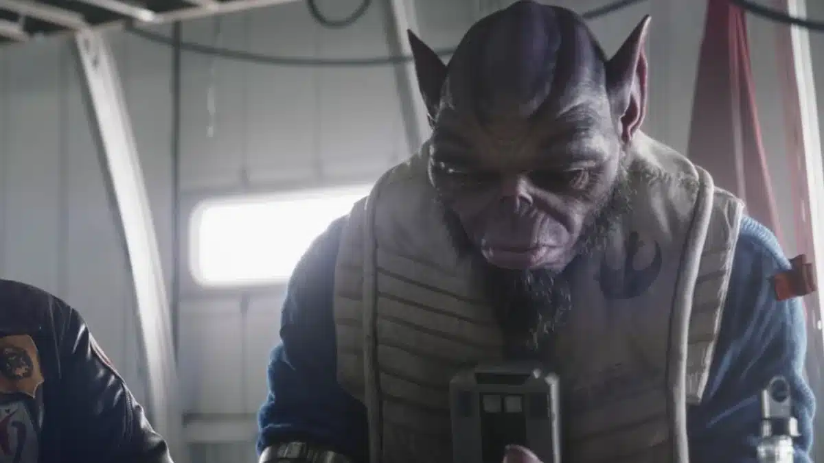 Zeb in the Mandalorian